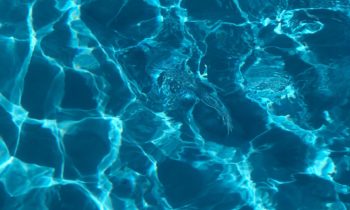 Gesundheit und Wellness